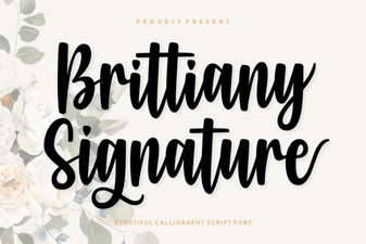 Brittiany Signature Font: a Creative Script Style Guide